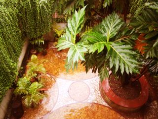 صورة الفندق 23