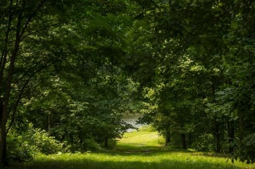 صورة الفندق 18