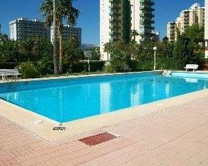 Don Chimo - Danio - Sólo Familias GANDIA Spain