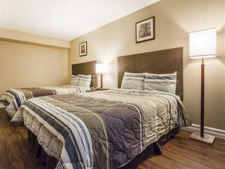 Фото отеля Econo Lodge Miramichi