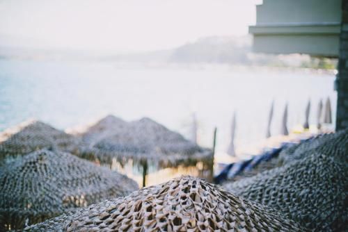 صورة الفندق 19