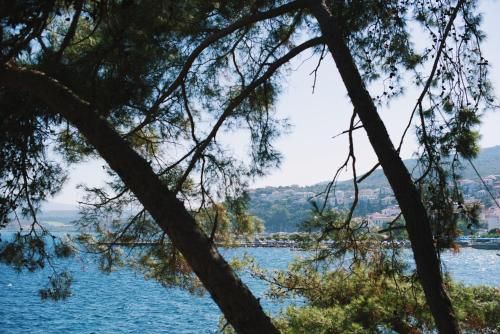 صورة الفندق 20