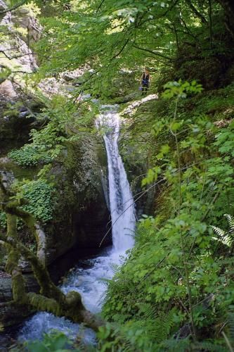 صورة الفندق 20