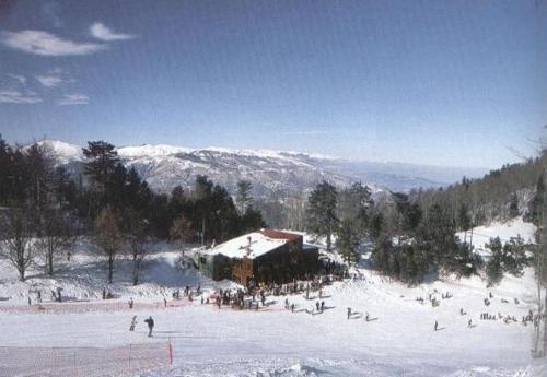 صورة الفندق 24