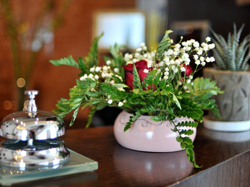 صورة الفندق 13
