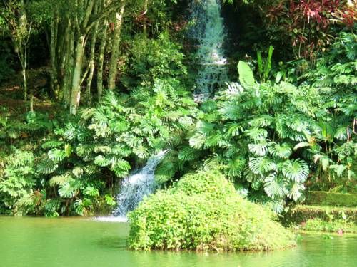 صورة الفندق 19