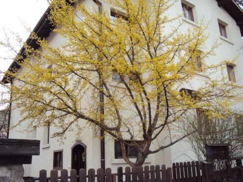 صورة الفندق 7