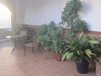 صورة الفندق 2