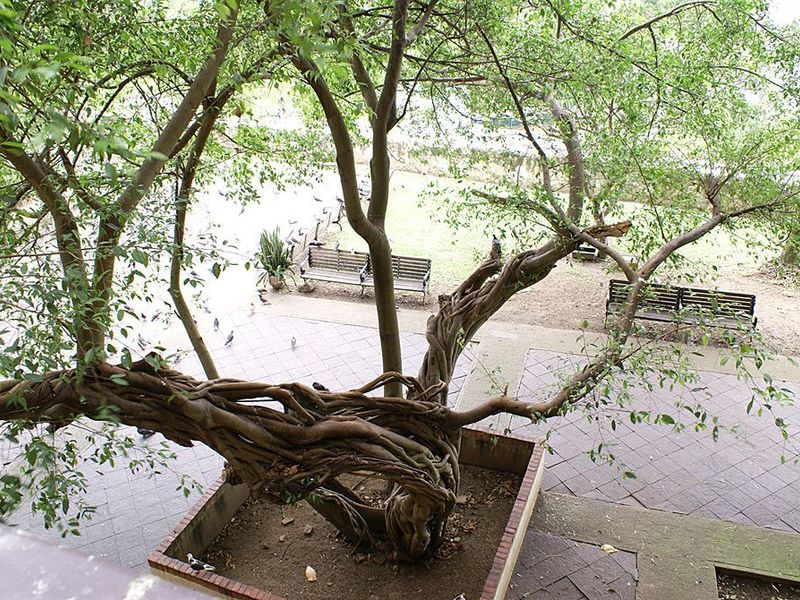 صورة الفندق 21