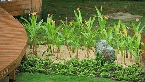 صورة الفندق 18