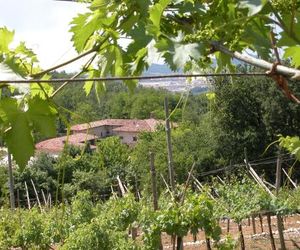 Agriturismo Ca Verde SantAmbrogio di Valpolicella Italy