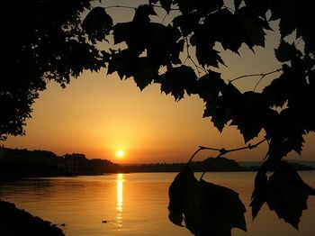 صورة الفندق 21