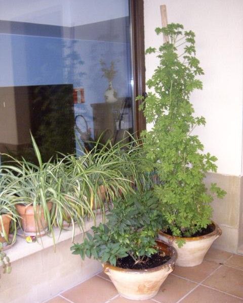 صورة الفندق 16