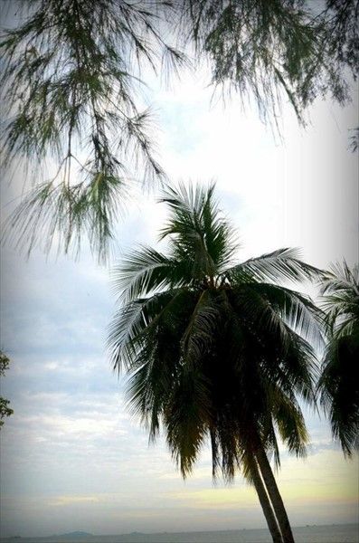 صورة الفندق 22