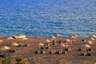 صورة الفندق 24