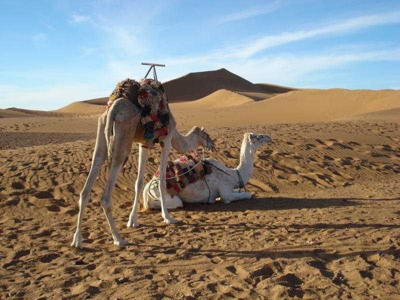 صورة الفندق 5