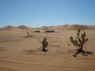 صورة الفندق 8
