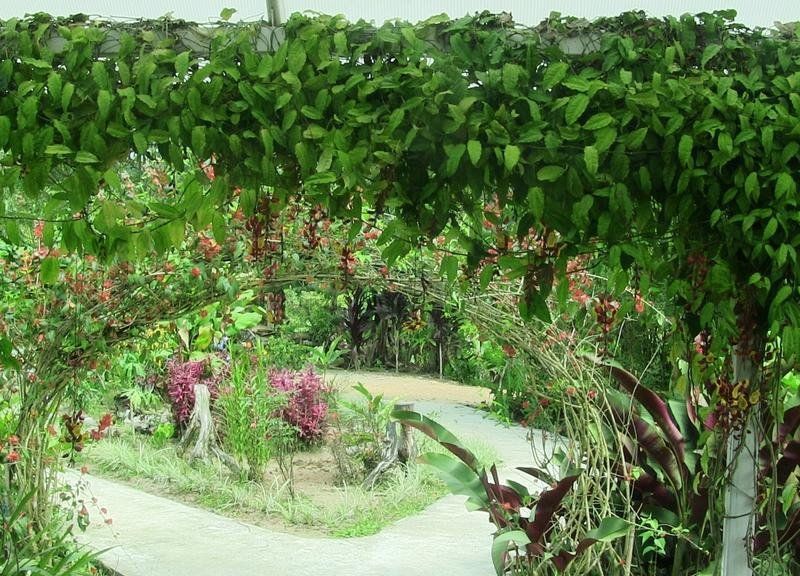 صورة الفندق 20
