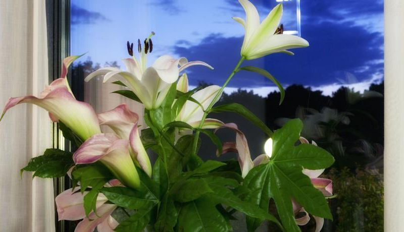 صورة الفندق 18
