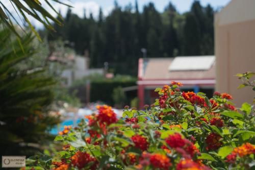 Hotel Photo 17