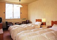 Отзывы Hakone Lake Hotel, 3 звезды