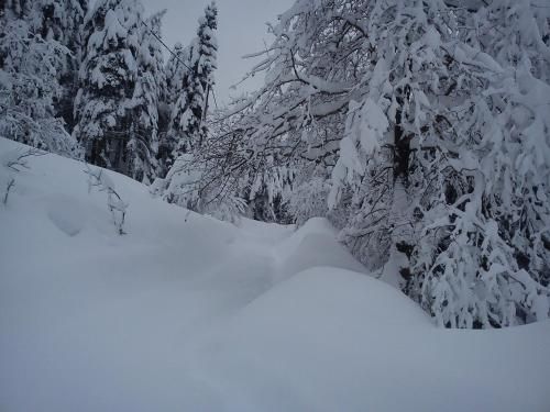 صورة الفندق 21