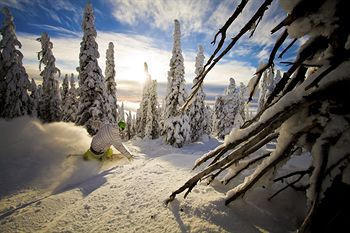 صورة الفندق 8