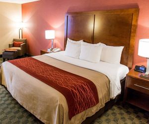Comfort Inn & Suites - Jackson Jackson United States