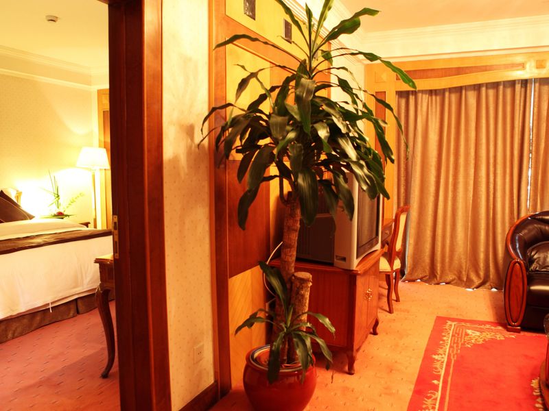 Hotel Photo 14