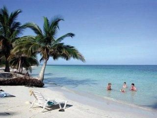 صورة الفندق 11