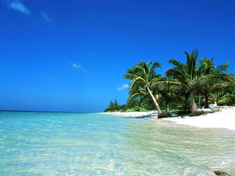 صورة الفندق 14