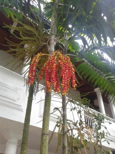 صورة الفندق 20