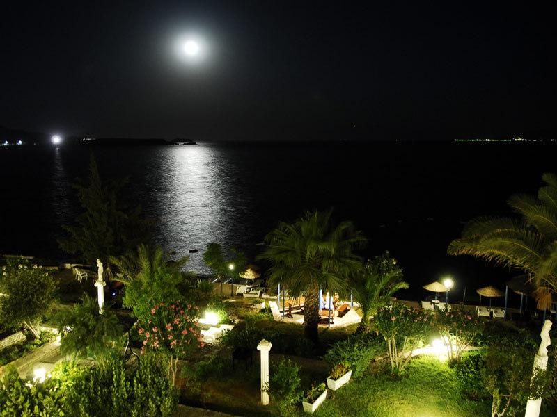 صورة الفندق 14