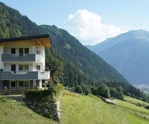 Bergblick Finkenberg Austria