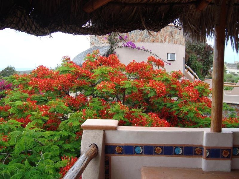 صورة الفندق 20