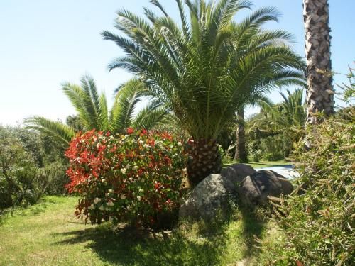 صورة الفندق 17