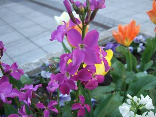 صورة الفندق 16