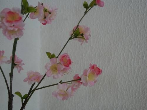 صورة الفندق 7