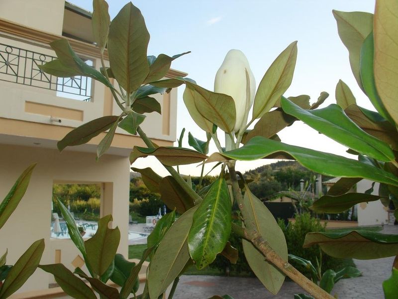 صورة الفندق 20