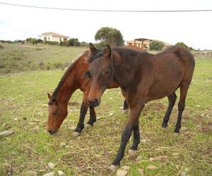 Agriturismo Depalmas Stintino Italy