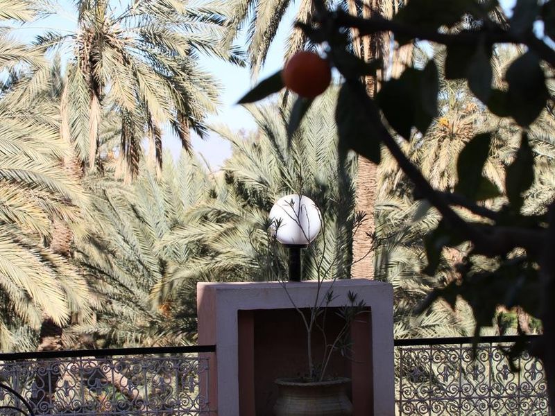 صورة الفندق 20
