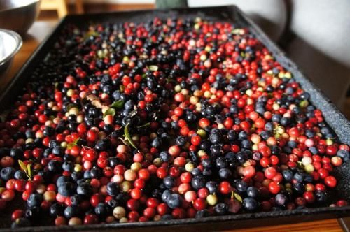 صورة الفندق 7