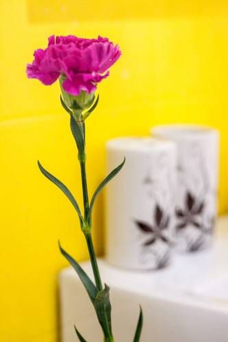 صورة الفندق 11