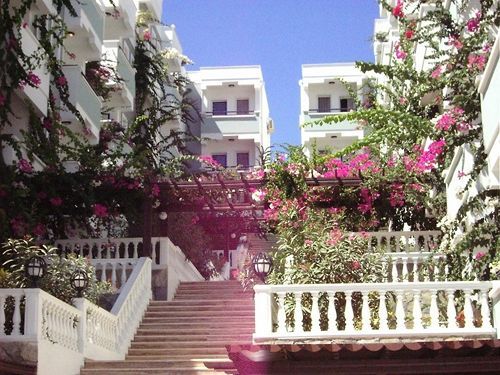 صورة الفندق 21