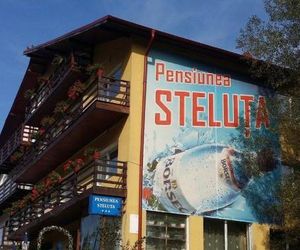 Pensiunea Steluta Predeal Romania