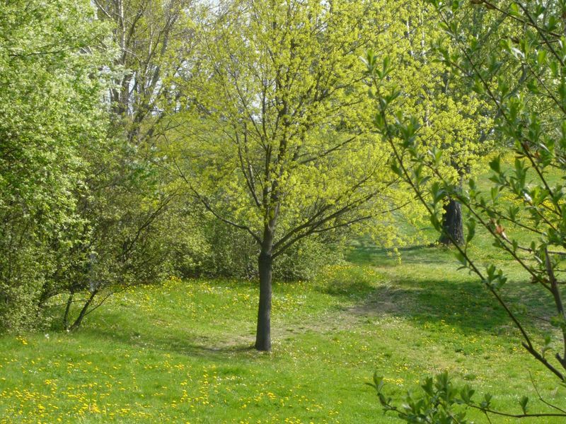 صورة الفندق 19