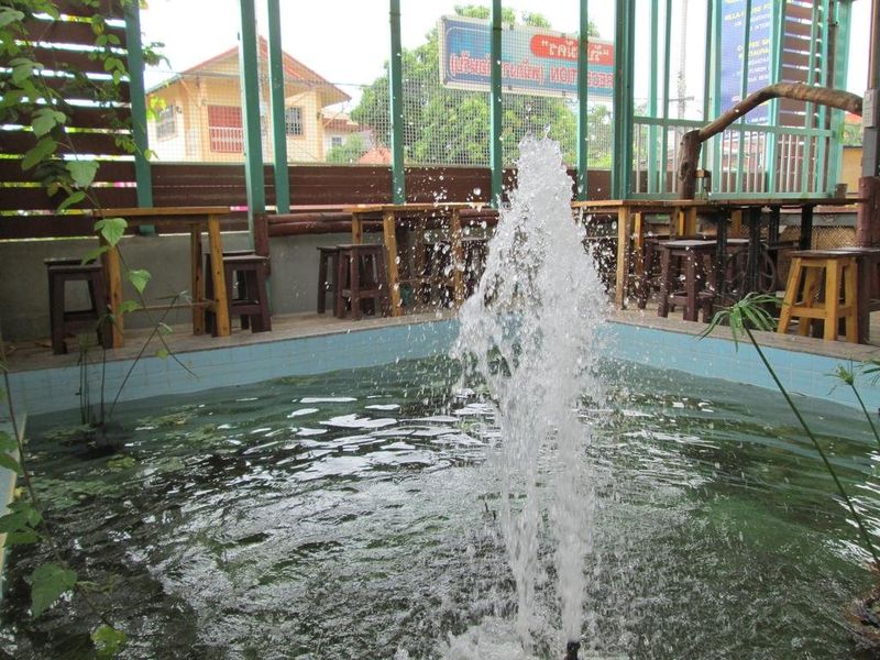 صورة الفندق 19