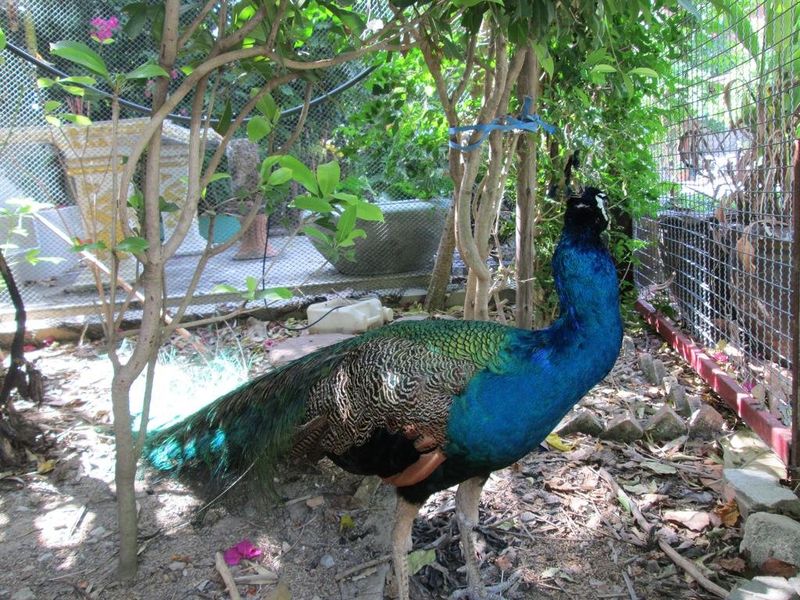 صورة الفندق 20