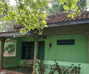 Orlinds Sawah View Guest House Kejayan Indonesia