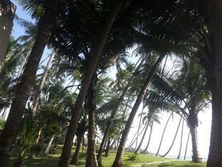 صورة الفندق 20